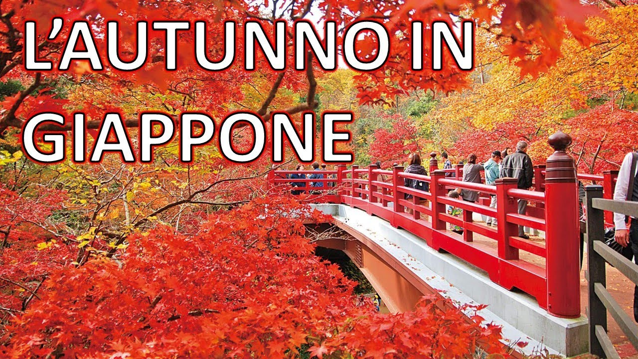 UN VIAGGIO TRA STORIA E MERAVIGLIA "GIAPPONE" | GLOBALTOUR DI ...